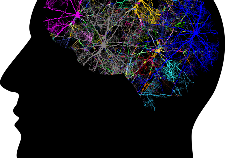 Atrofia Cerebrala. Partea II a