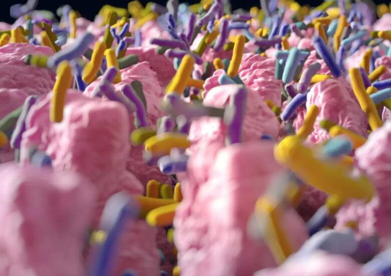 Ar putea probioticele să ajute la combaterea sclerozei multiple?