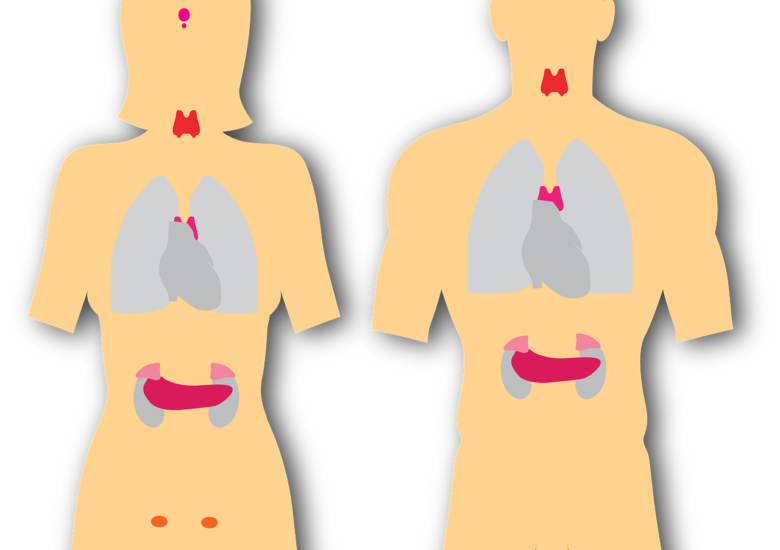 Legătura dintre Scleroza Multiplă și afecțiunile tiroidiene