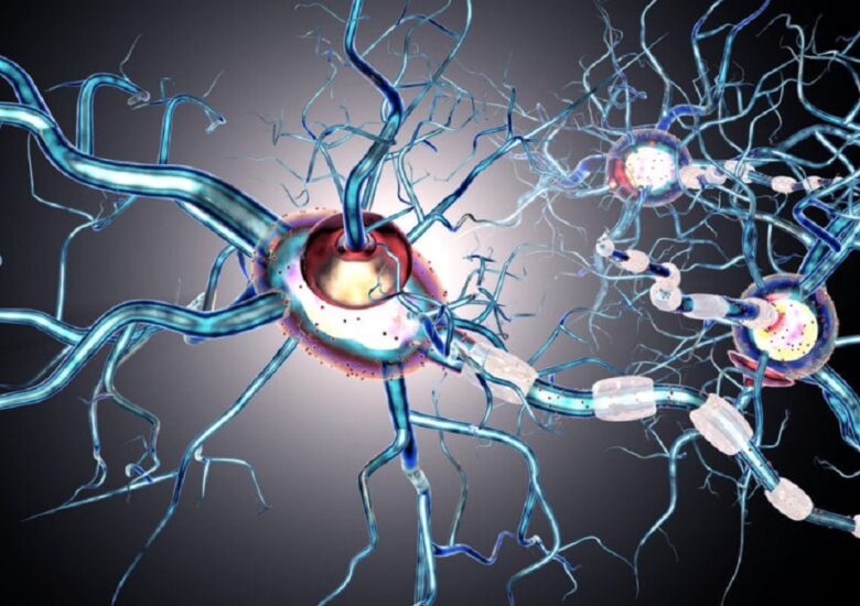 Scleroza multiplă și vaccinul COVID-19: Este sigur?