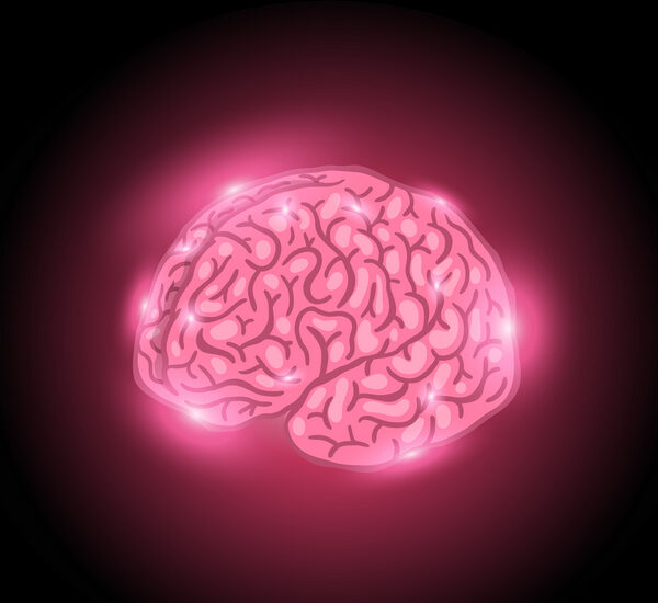 Substanța albă și substanța cenușie