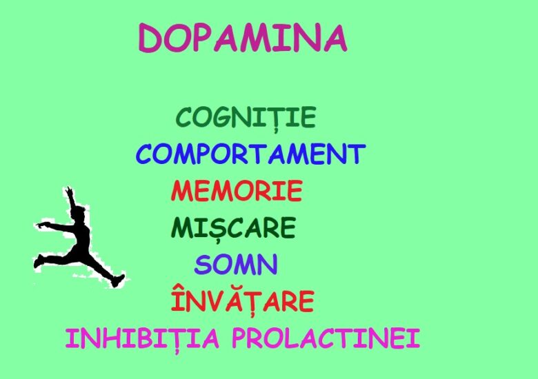 Dopamina si rolul ei. Partea a III a