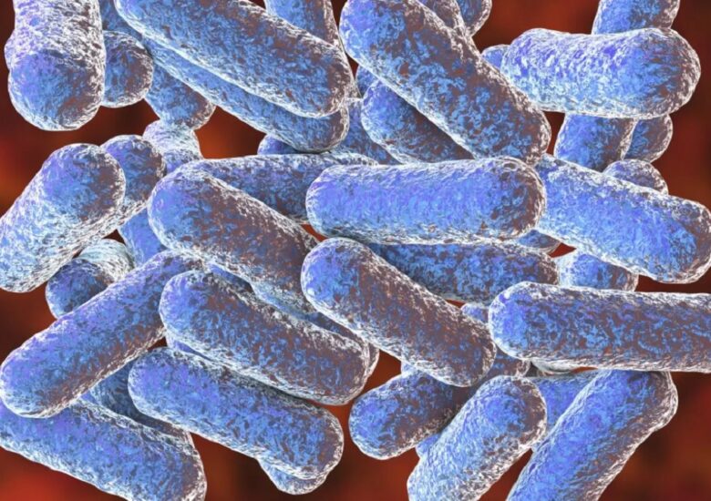 Bacteriile intestinale oferă indicii despre scleroza multiplă