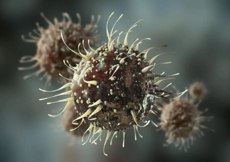 Modul în care infecțiile virale din copilărie pot conduce mai târziu la Scleroza Multiplă. Partea I