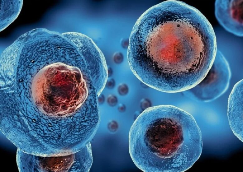 Întinerirea celulelor stem cerebrale poate deține cheia pentru viitoarele tratamente pentru scleroză multiplă