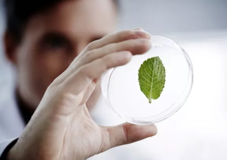 Tratamente naturiste pentru scleroza multiplă