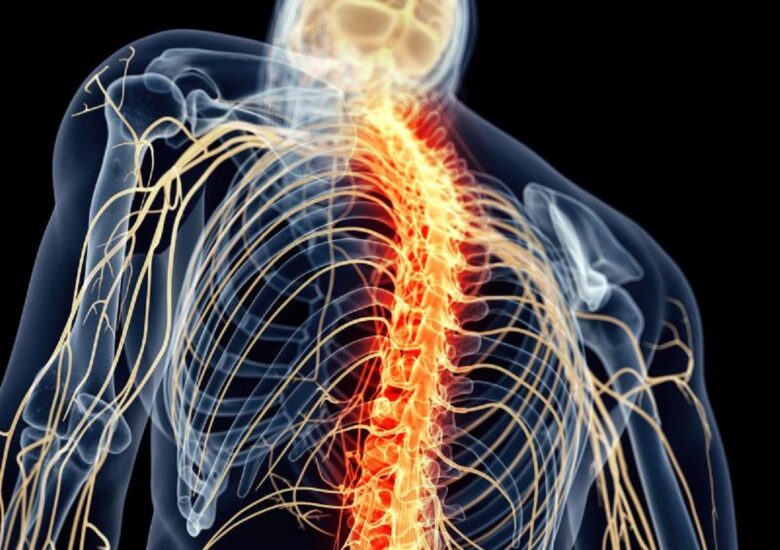 Înțelegerea Scalei extinse pentru starea de dizabilitate (EDSS). O prezentare generală a unei evaluări utilizate în studiile clinice