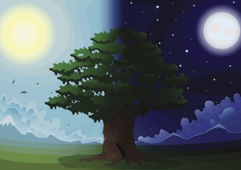 Simptomele Sclerozei Multiple fluctuează ziua și noaptea?