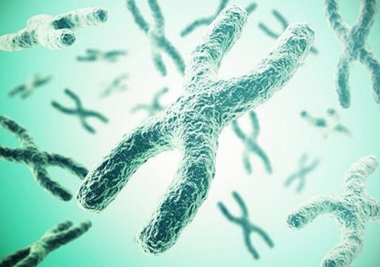 Este scleroza multiplă ereditară? Alți factori, în afară de ADN-ul tău, sunt în joc