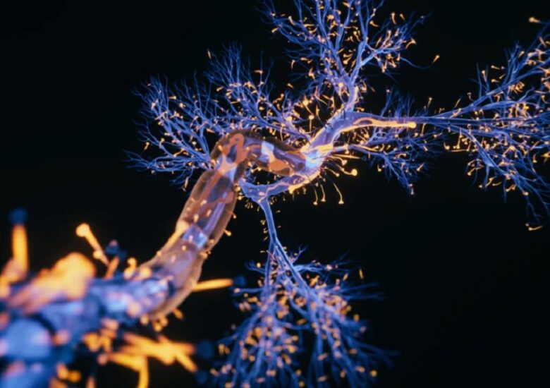 Simptomele sclerozei laterale amitrofice și leziunile nervilor