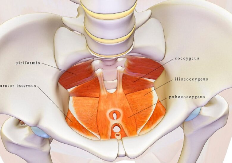 Terapia fizică a podelei pelvine pentru scleroza multiplă: ajutor pentru vezica urinară, intestin și funcția sexuală